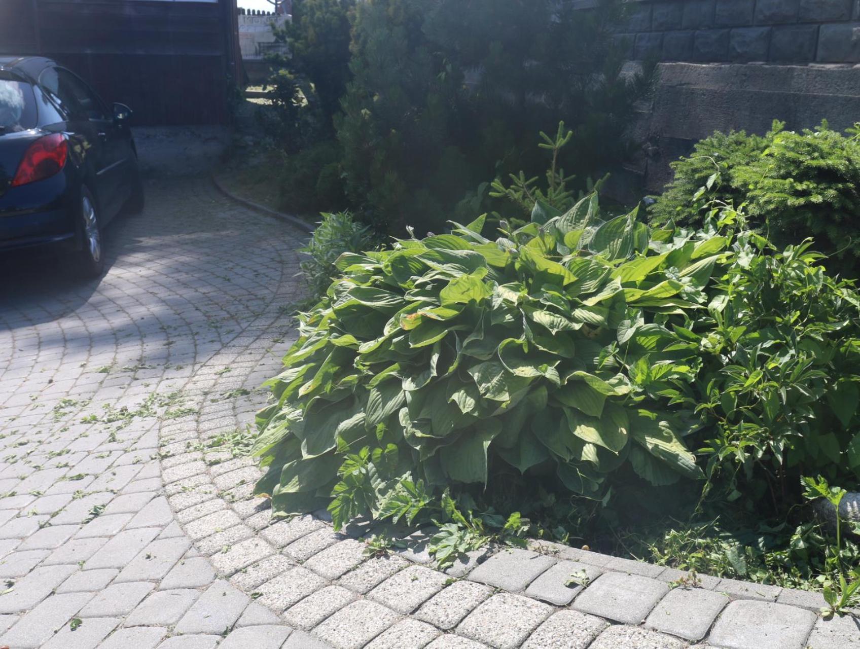 Smyrecek-Centrum Bukowiny Bukowina Tatrzańska Εξωτερικό φωτογραφία