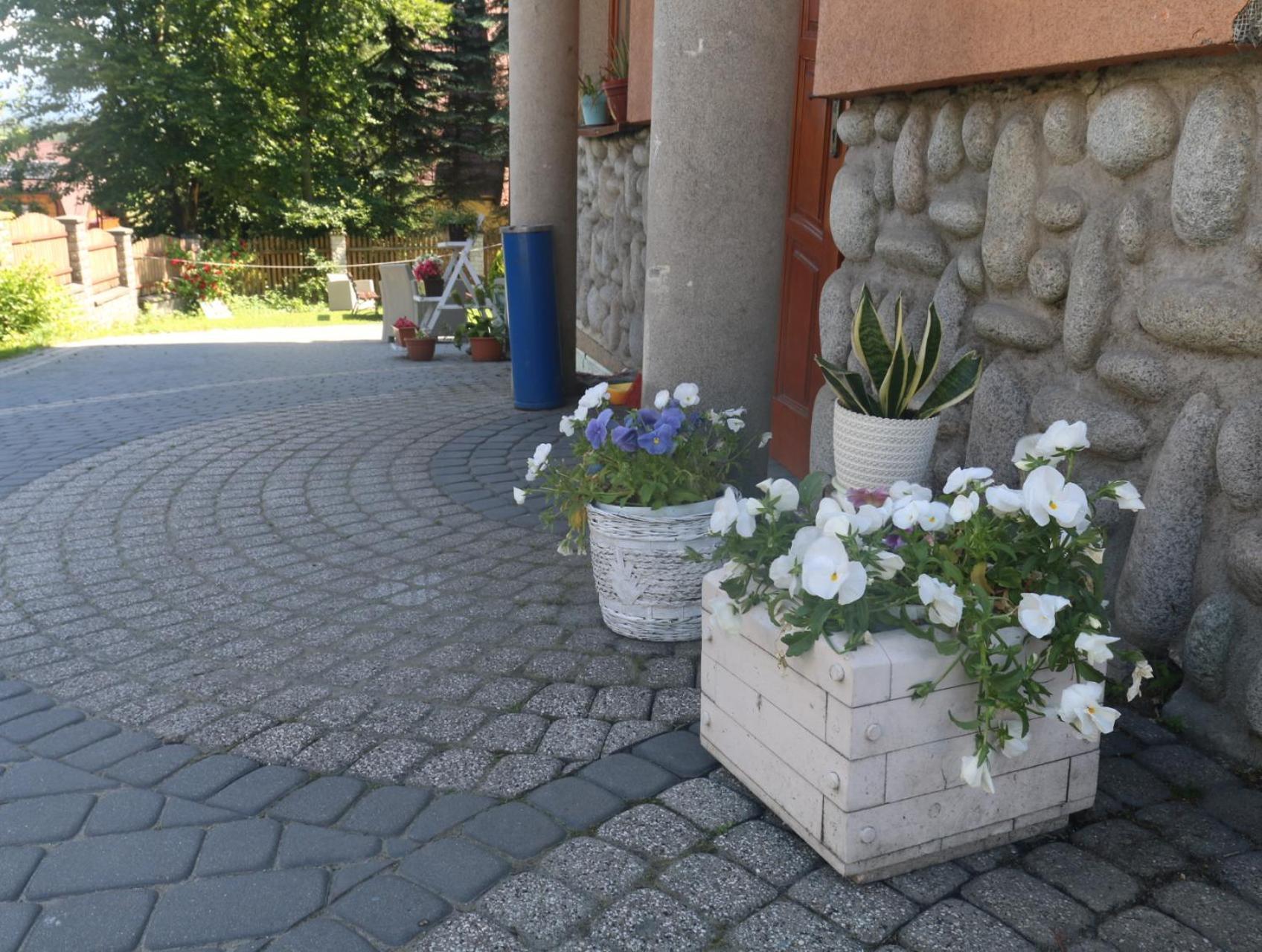 Smyrecek-Centrum Bukowiny Bukowina Tatrzańska Εξωτερικό φωτογραφία