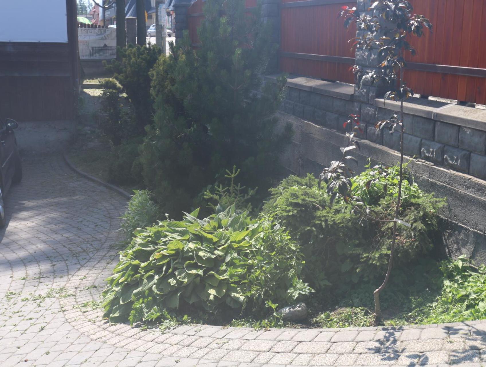 Smyrecek-Centrum Bukowiny Bukowina Tatrzańska Εξωτερικό φωτογραφία