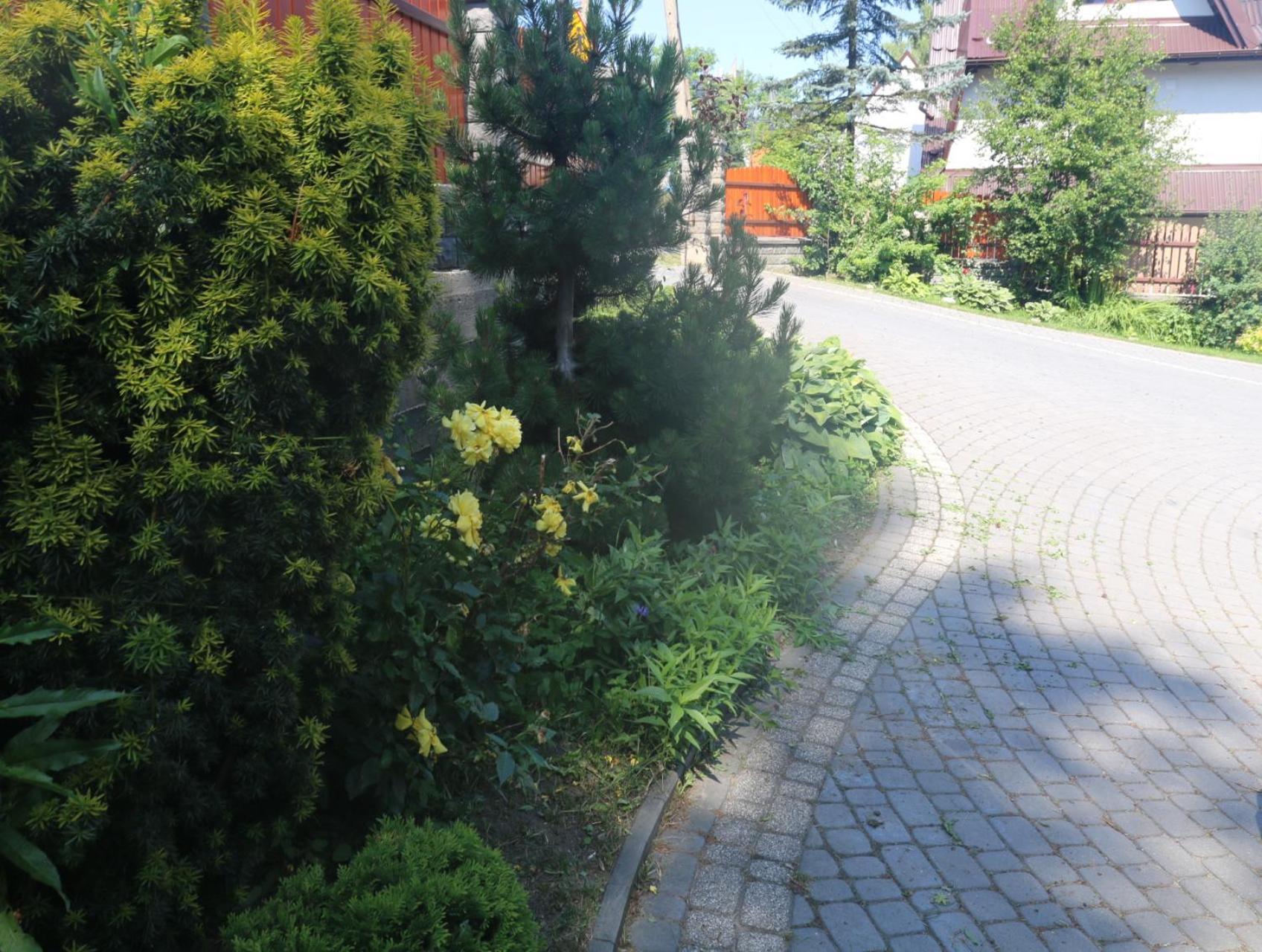 Smyrecek-Centrum Bukowiny Bukowina Tatrzańska Εξωτερικό φωτογραφία